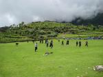 Girls' football