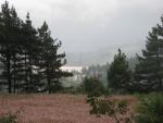 pine forests and buckwheat fields