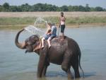 we get a soaking from our bathing partner