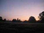 Angkor Wat across the fields at dawn