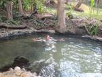 Heather in the hot springs