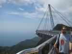 suspension bridge over jungle